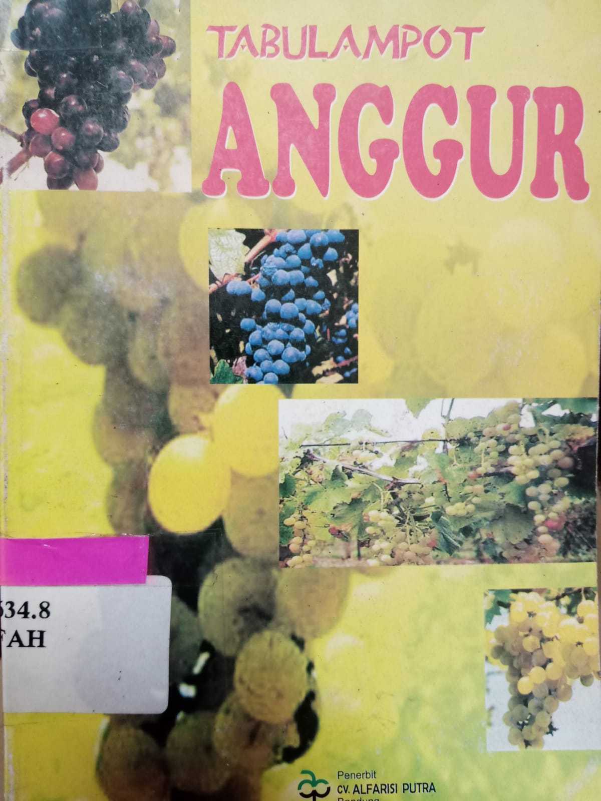 Cover Tabulampot Anggur / Hafidz M. Fahmi