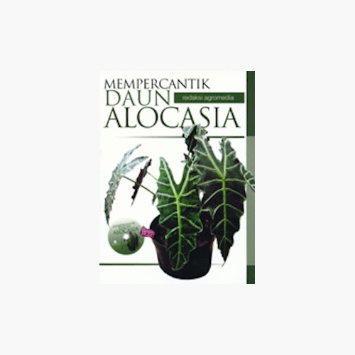 Sampul Mempercantik daun alocasia / Purwadaksi Rahmat