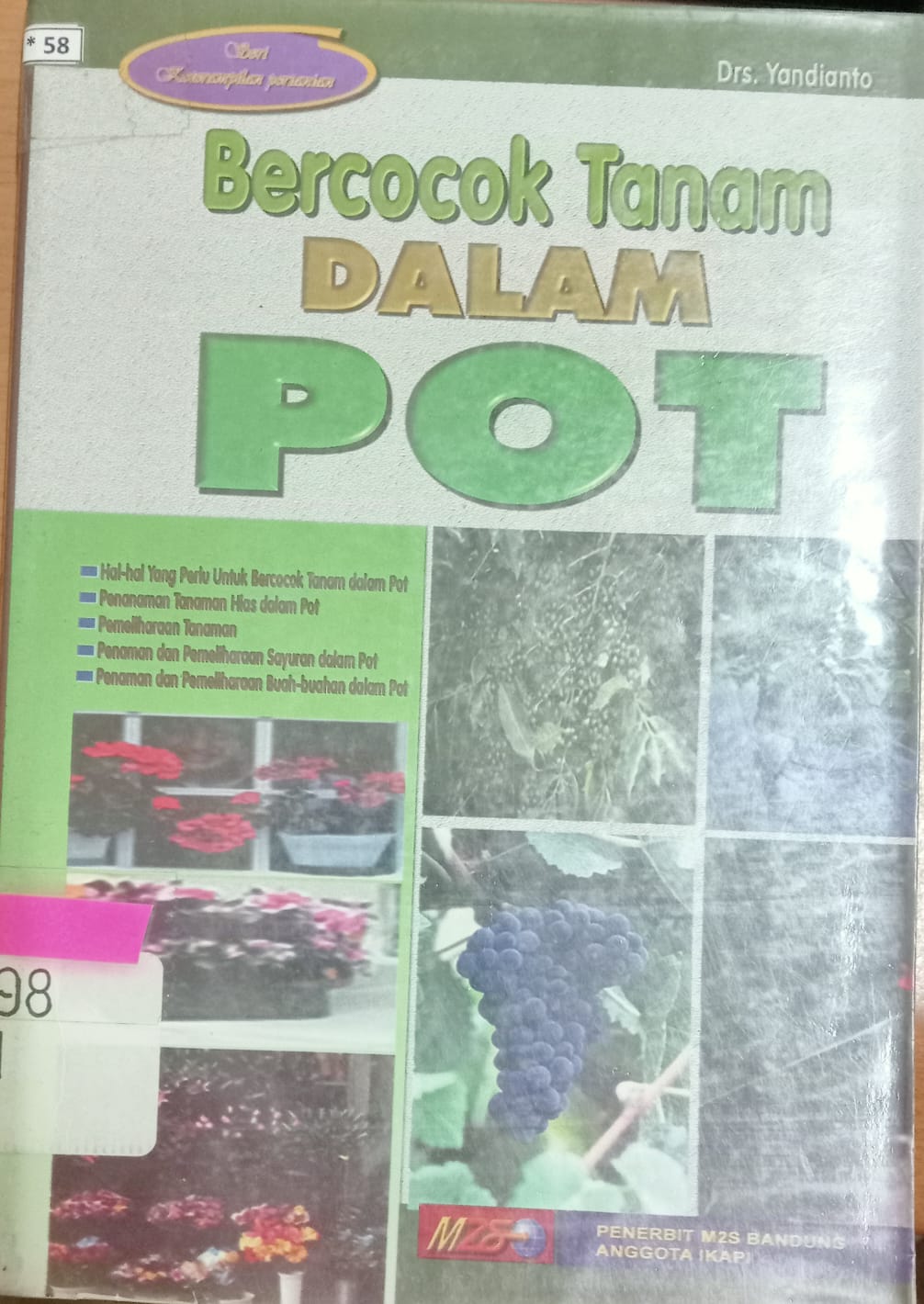 Cover Bercocok tanam dalam pot / Yandianto