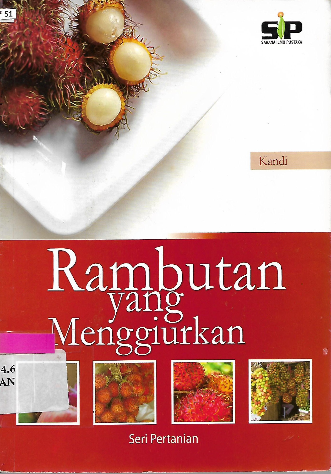 Cover Rambutan yang menggiurkan / Kandi