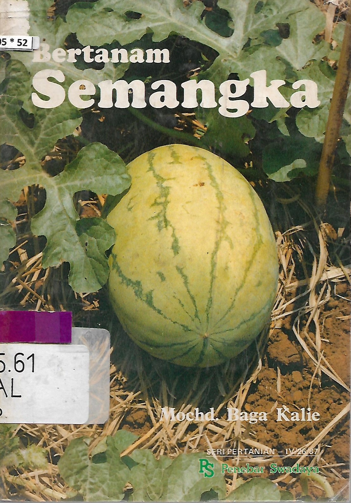 Sampul Bertanam semangka / Kalie Moehd. Baga