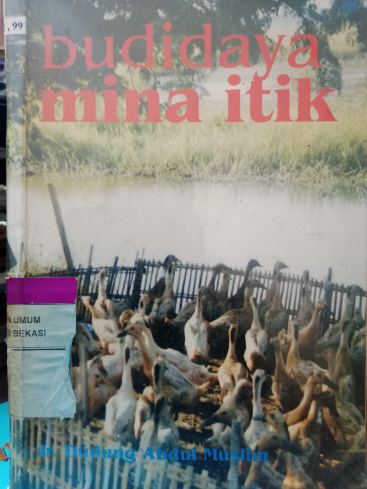 Sampul Budidaya mina itik / Dudung Abdul Muslim