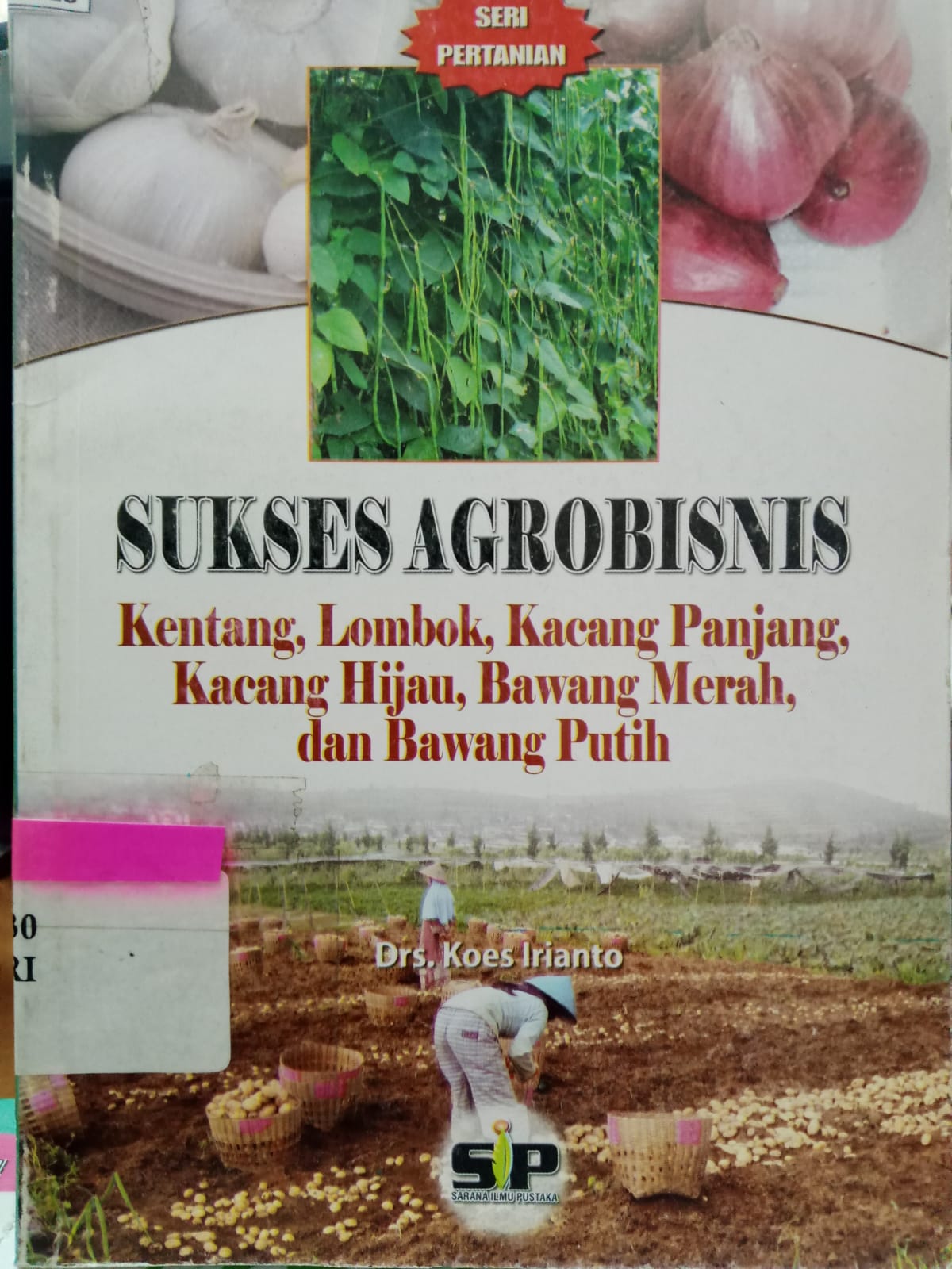 Sampul Sukses Agrobisnis :  Kentang, lombok, kacang Panjang, Kacang hijau, Bawang merah dan Bawang Putih / Koes Irianto