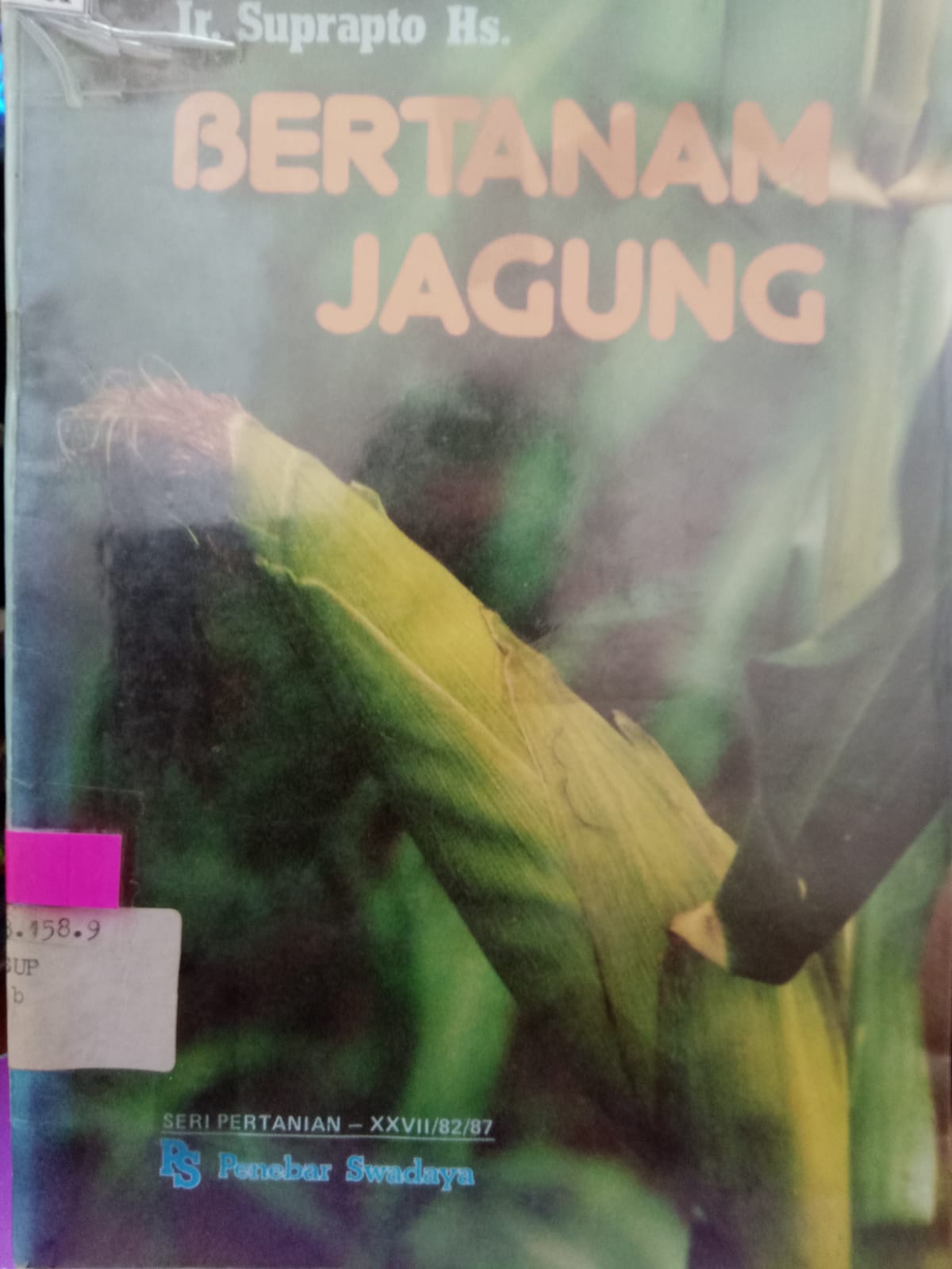 Sampul Bertanam Jagung / Suprapto